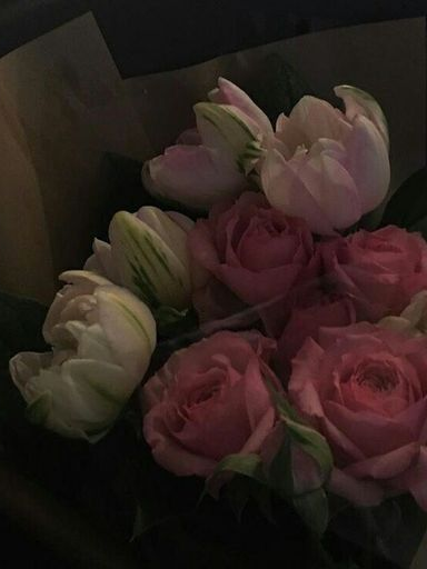 너의 사랑을 얻고 싶어. 대표 이미지