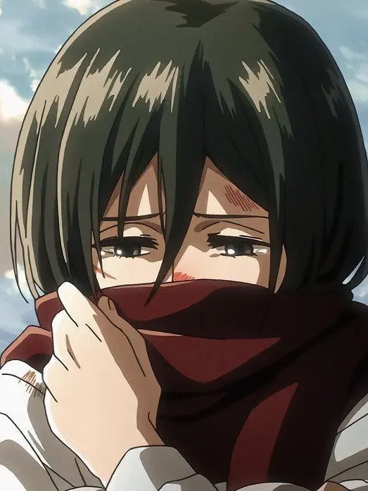 BossyMind6628의 미카사 아커만