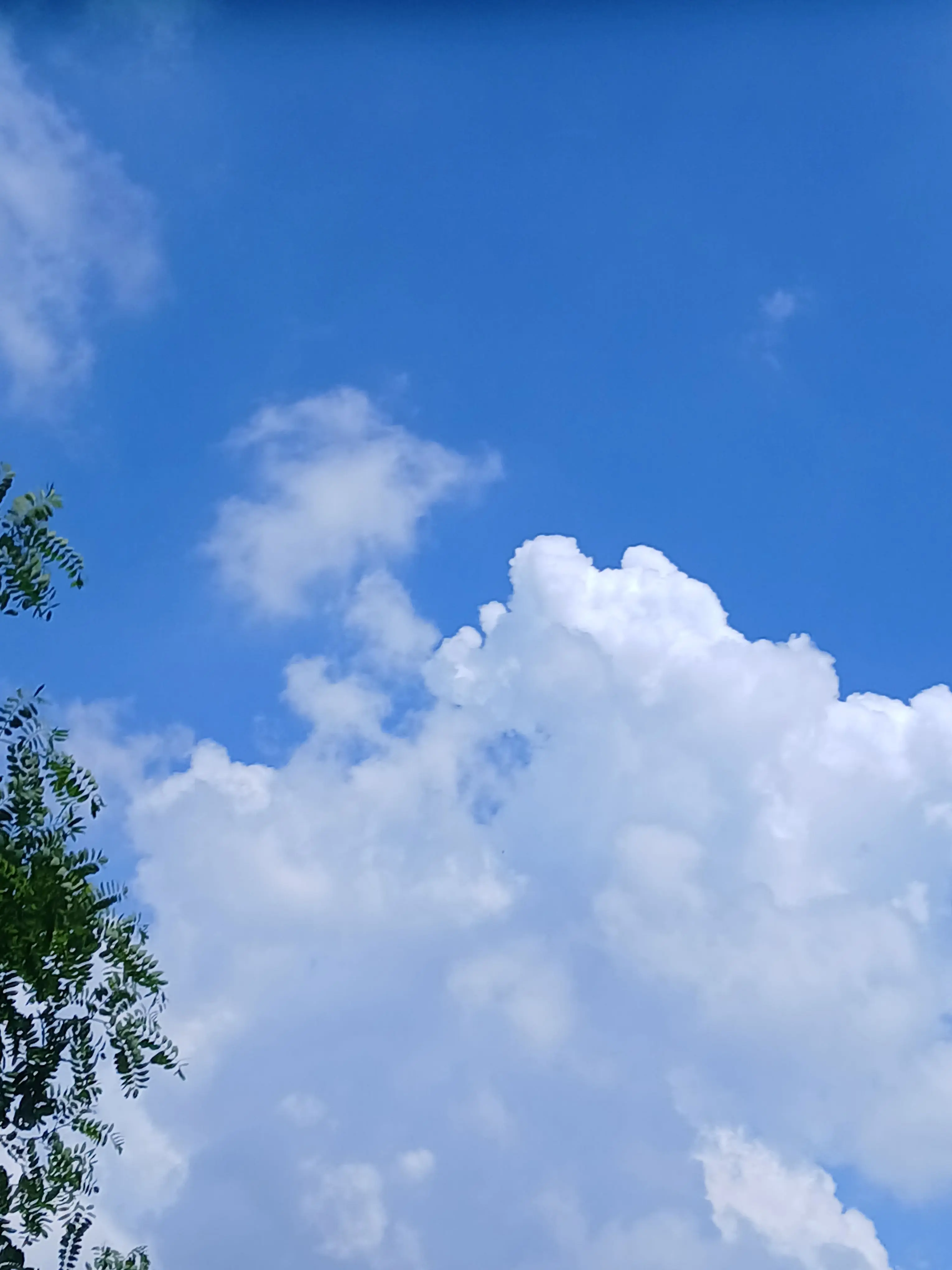 ConvexTrail029의 0107&0423