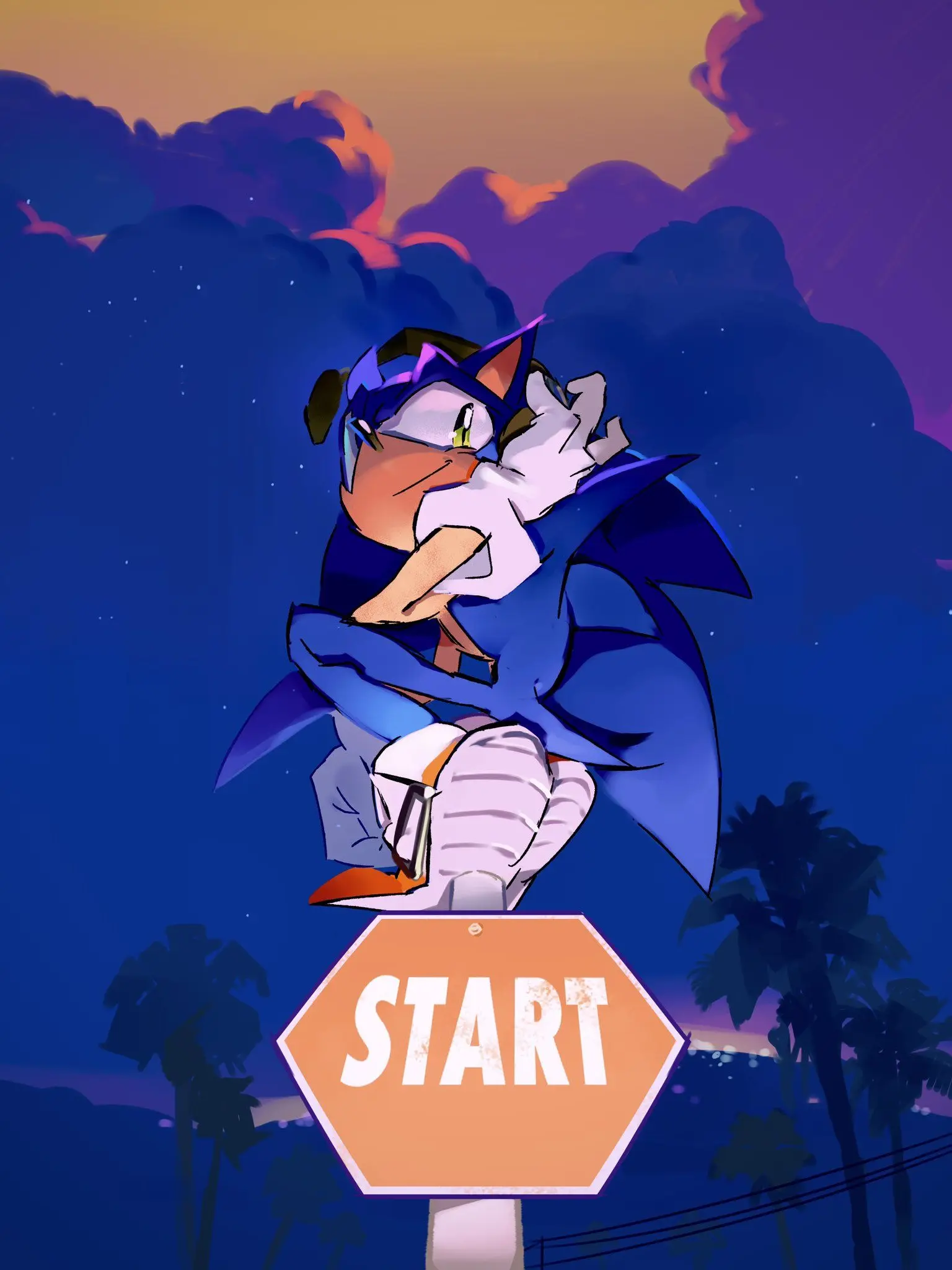 SpryFeist2702의 소닉?