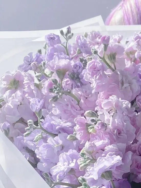 DUGEUN.DUGEUN의 0911