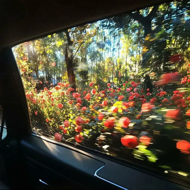 top_1317의 先生と生徒