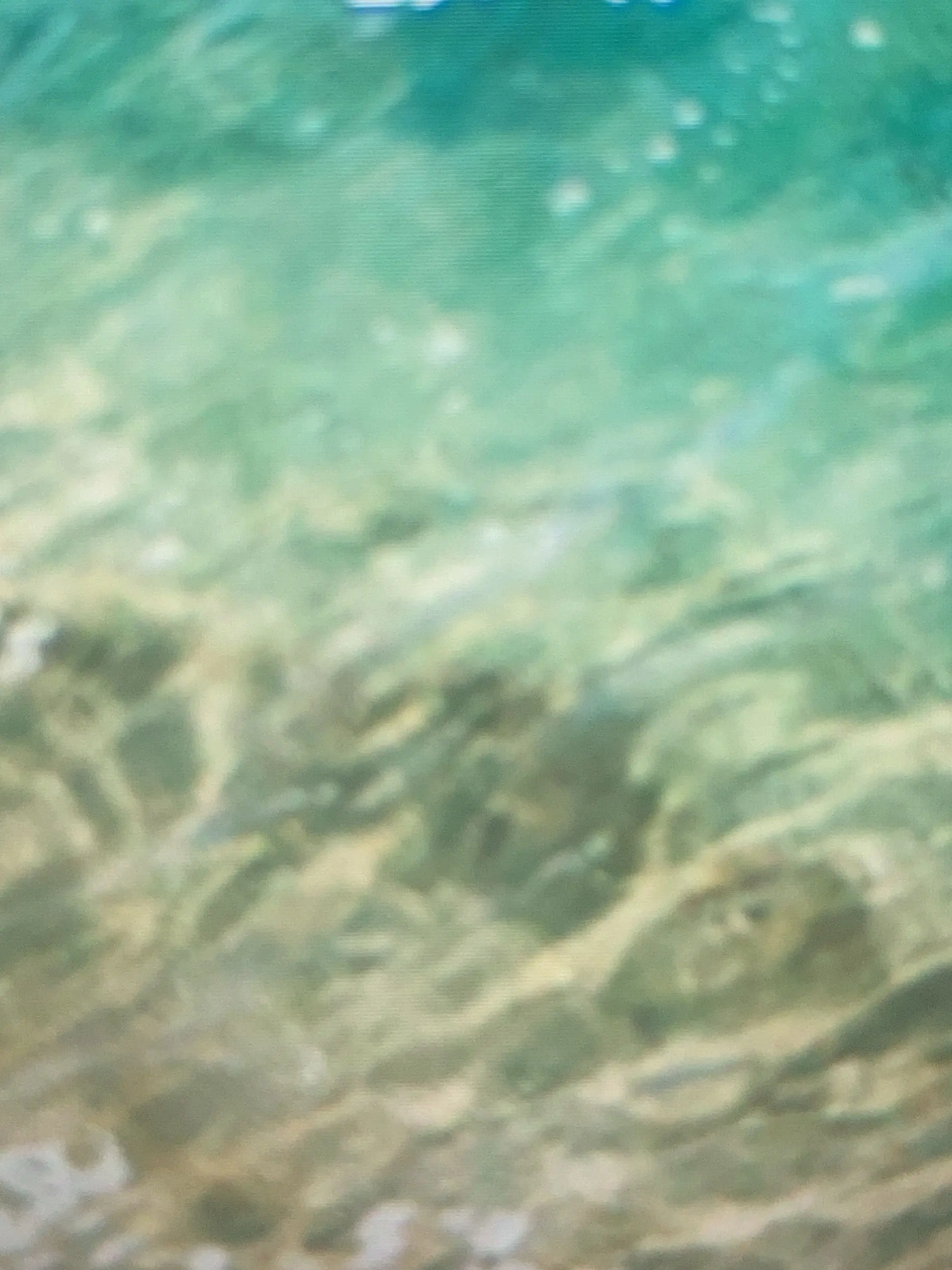 RelishDoor7088의 ヤンキーに好かれてしまった