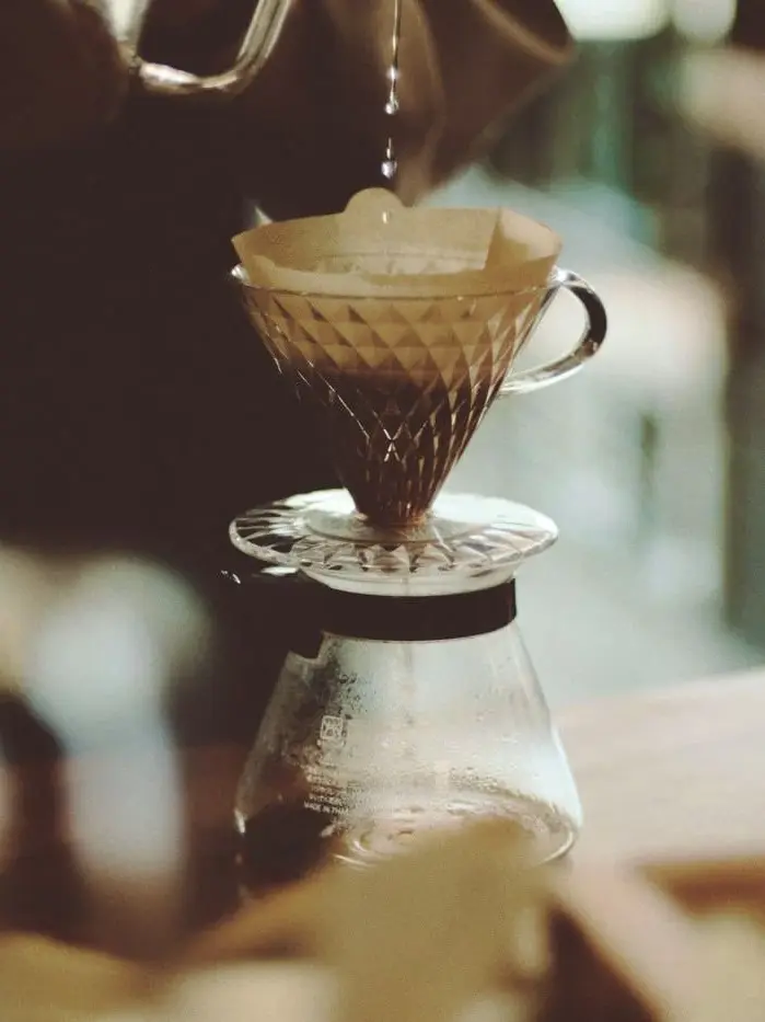 ._____.2064의 保護猫カフェ