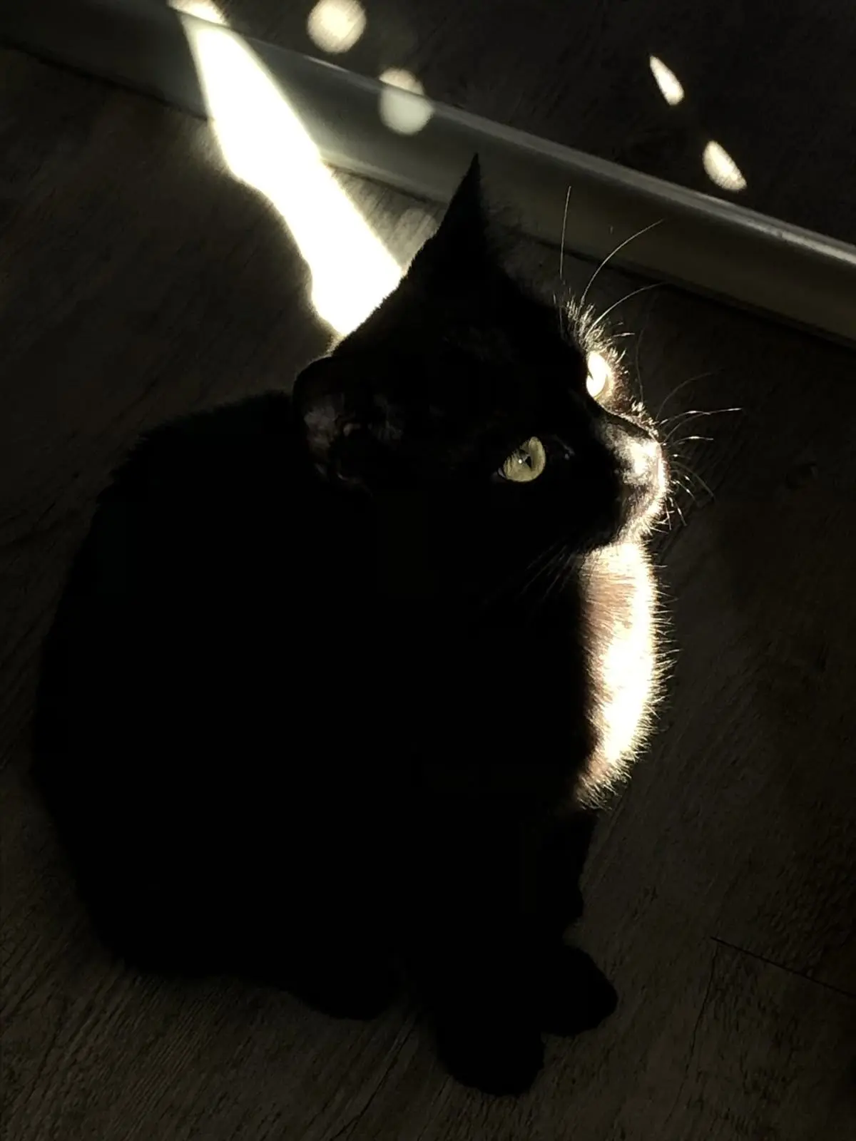 Itkung의 학교 생활