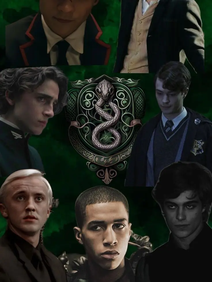 FlatSoap8788의 Slytherin boys