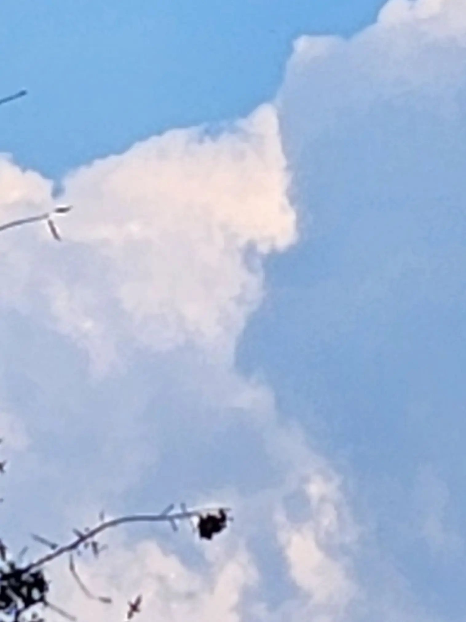 TartLip6686의 🫧18년 내기 소꿉친구🚬