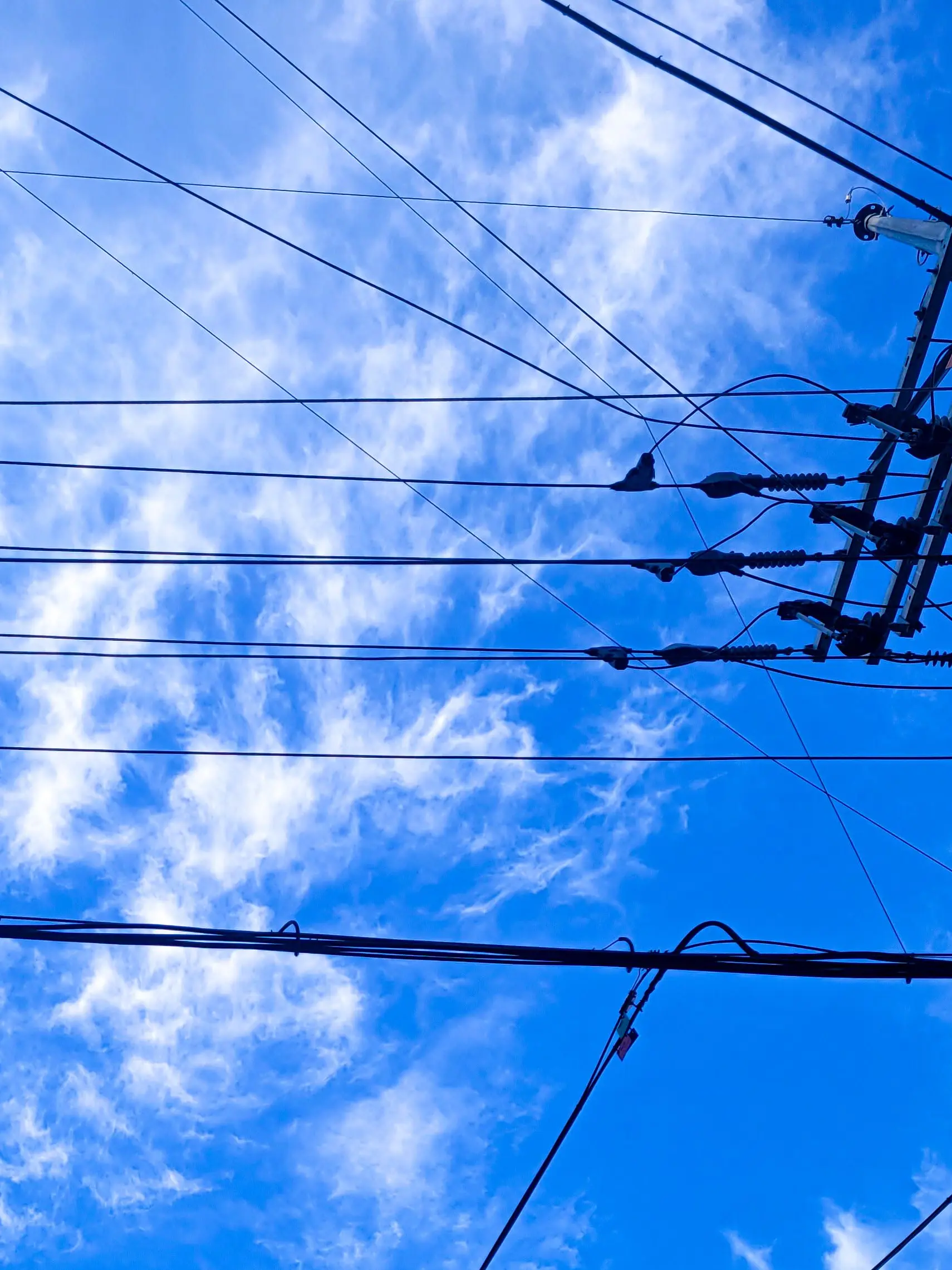 Paaado의 내가 너의 여름이 되어 줄게.