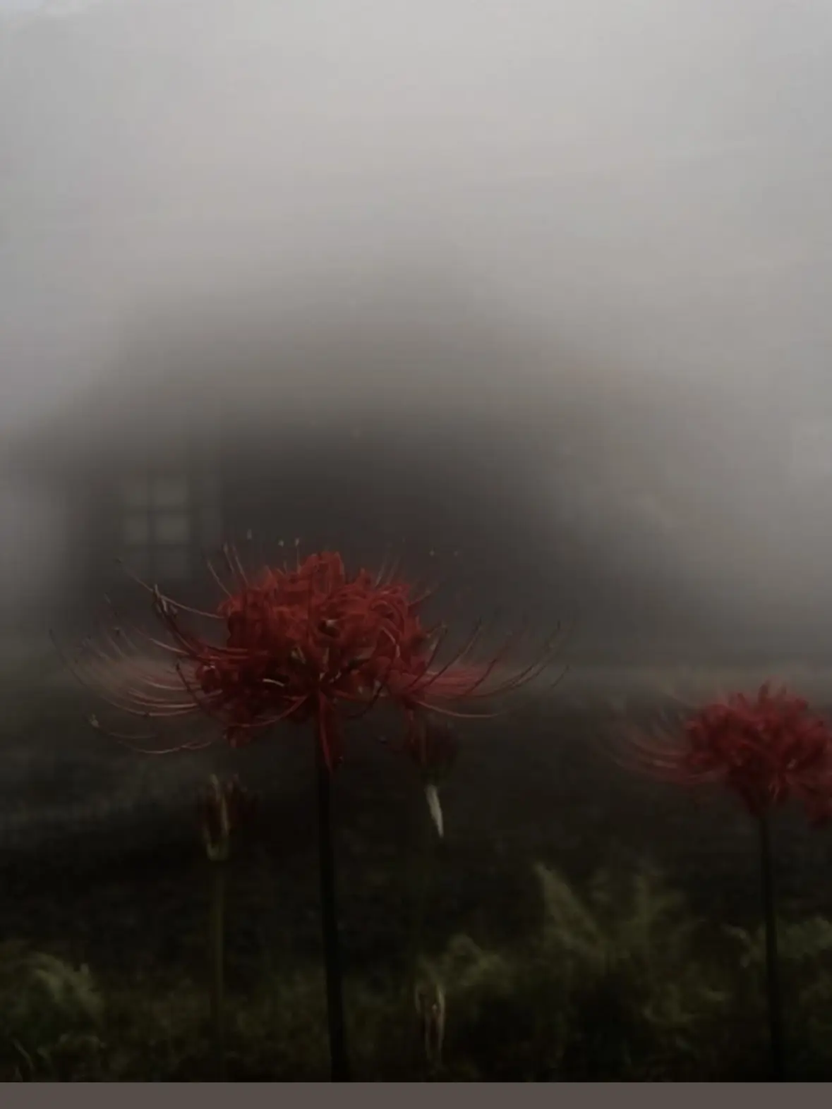 Zzz__oO의 Longing for a "Good Morning"