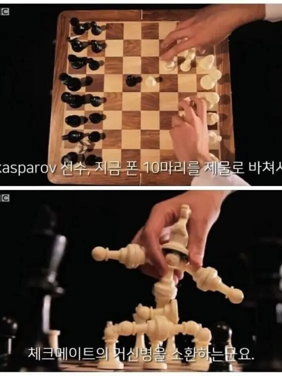 Tiramisuk의 무도×블루 아카이브 (당신은 유우카)