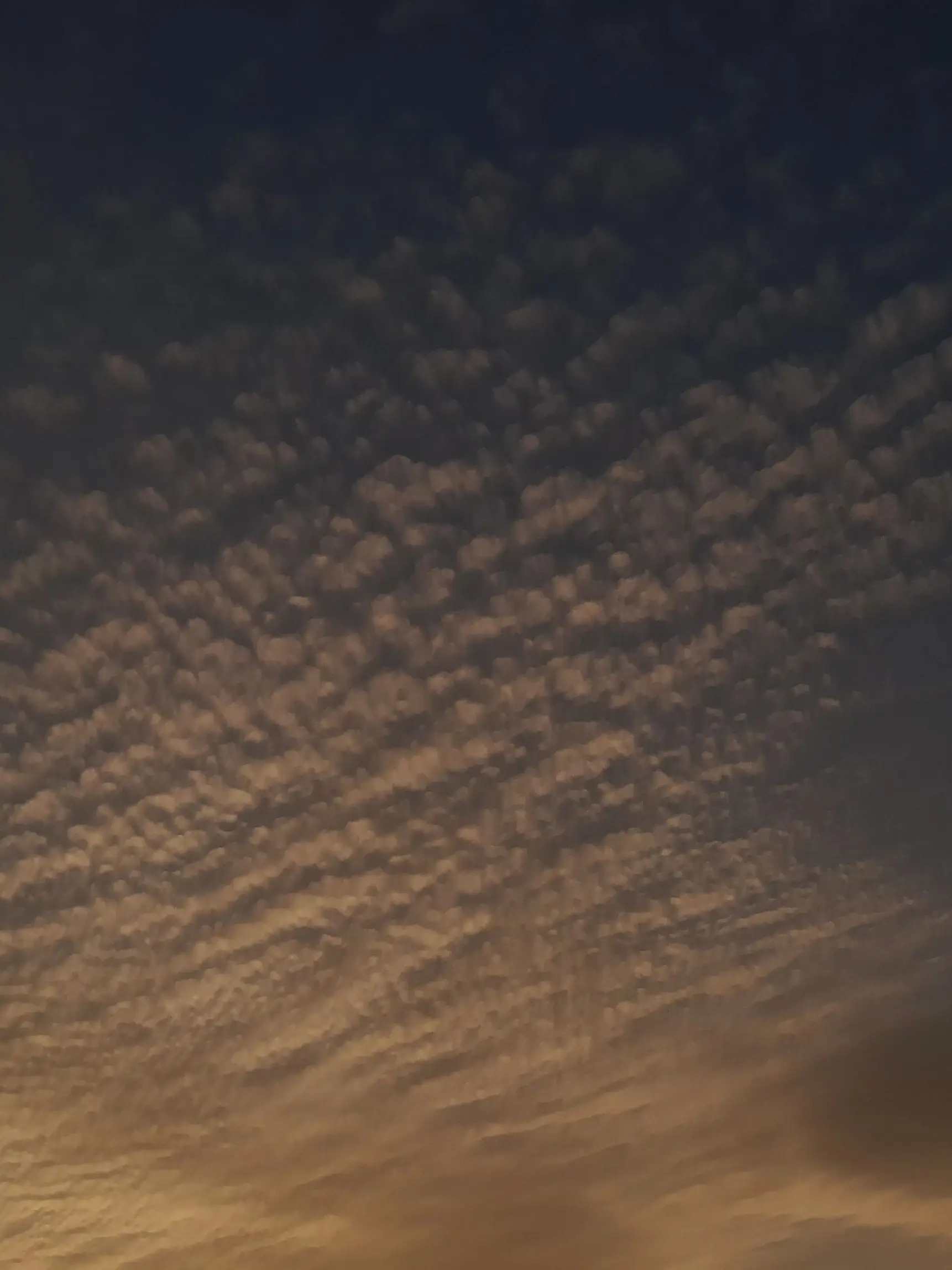 NiceGirl0420의 차라리 너희가 날 미워했다면…