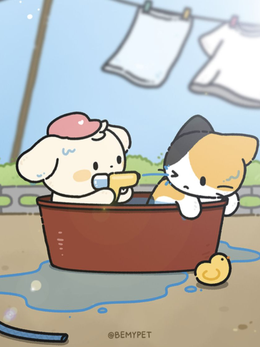 비마이펫 대표 이미지