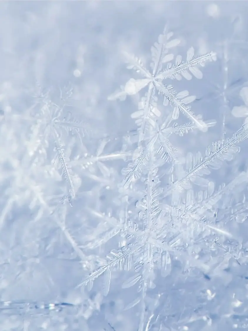 _Gangster의 리레볼루션