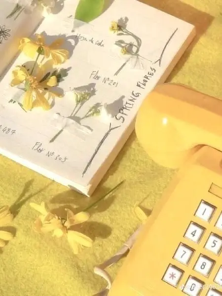 88e의 짜증 나도록 잘 난 그 애.