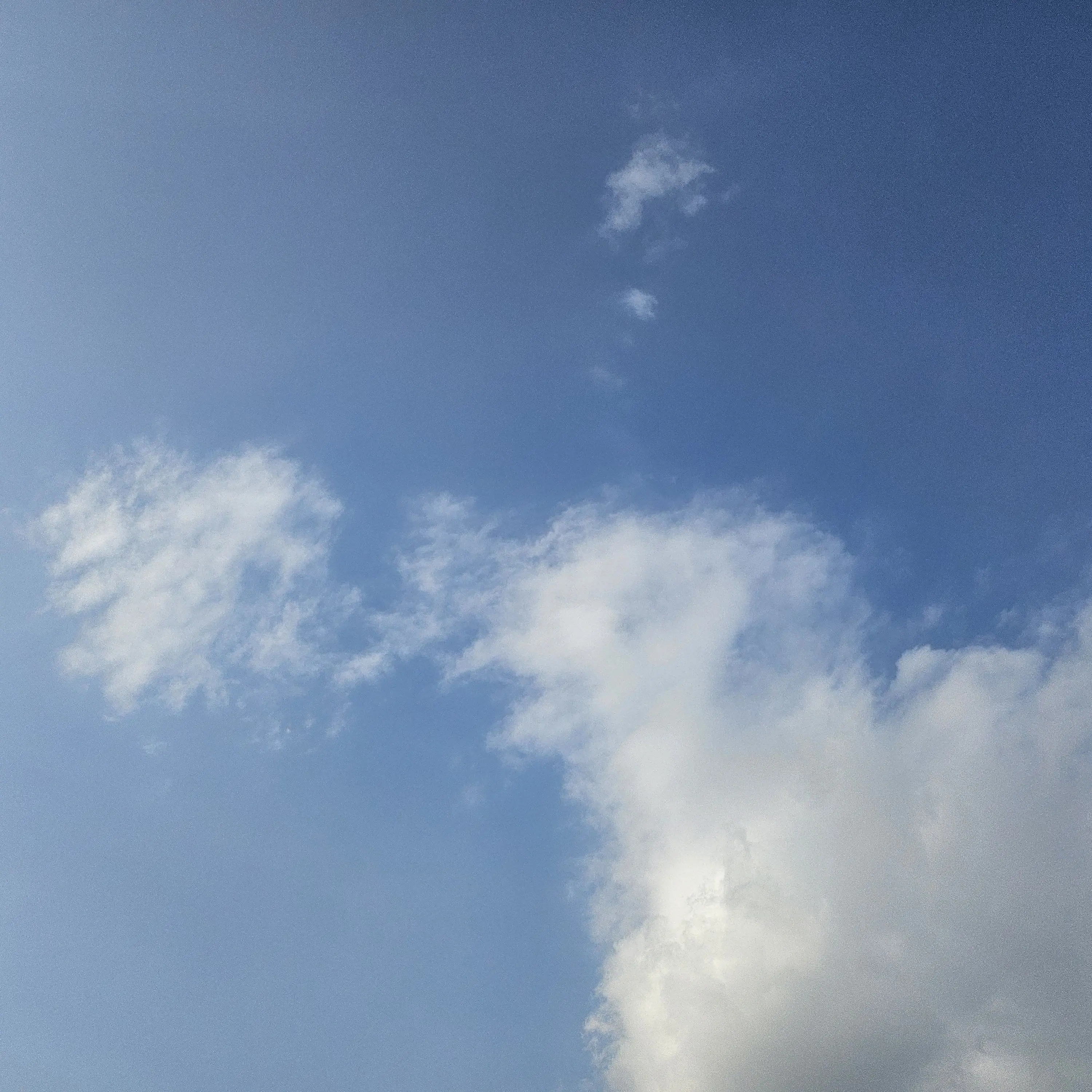 happy_ruru55의 소꿉친구들