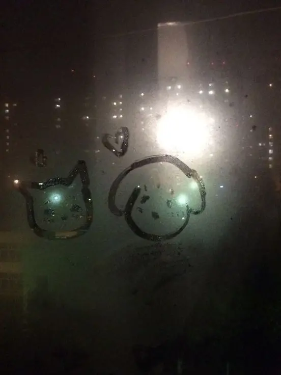 .......s의 𝐿𝑜𝑣𝑒 𝐴𝑔𝑎𝑖𝑛