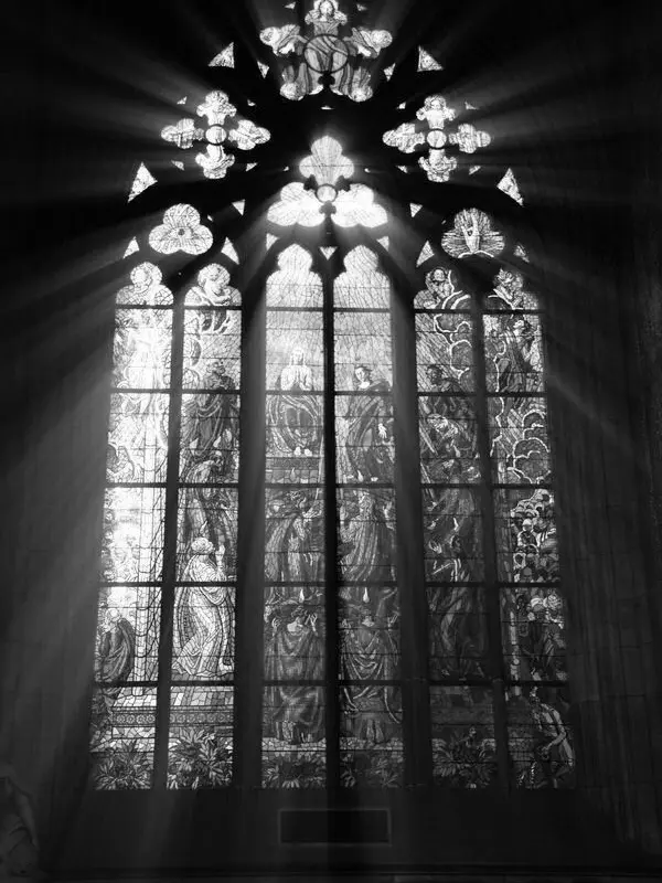 CattyBench7944의 あなたの為なら。