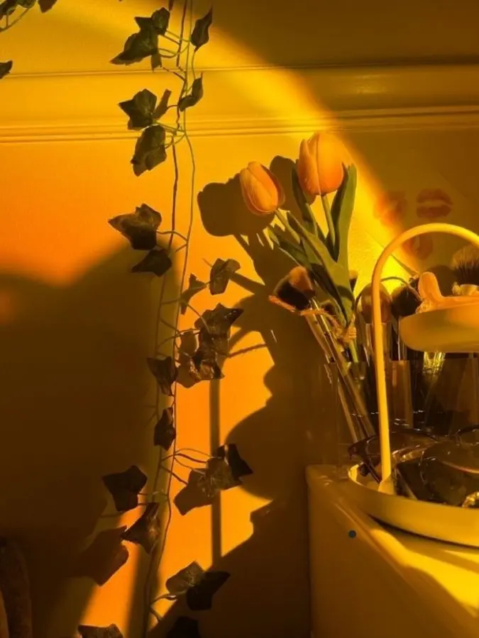 Stellalivelover의 연기부 라이벌 [덕개편] ♤