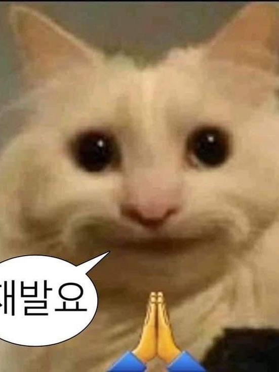 규타로 남매가 혈귀가 되기 전 대표 이미지