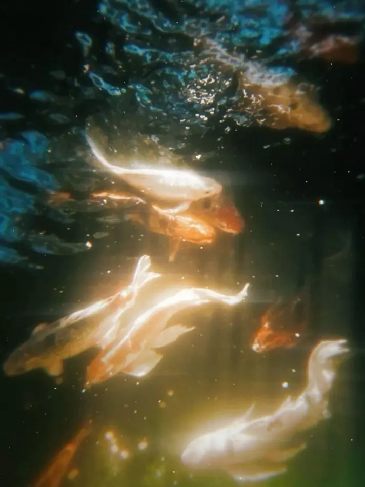 home_run의 당신들과 함께