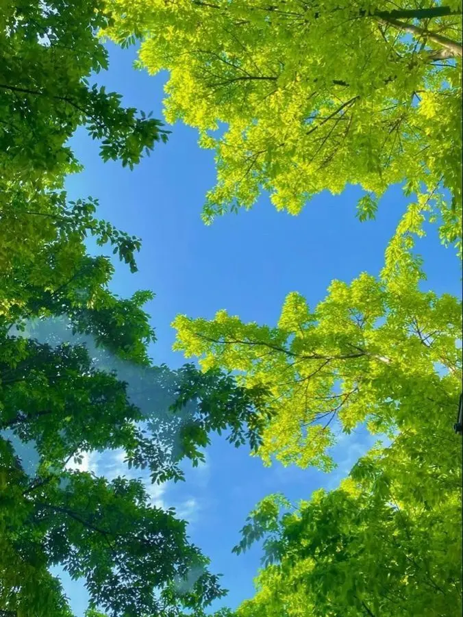 DimKiwi2335의 땅과 하늘의 눈금 72도 사이