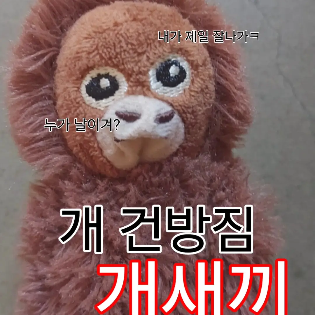 LightLily2258의 금뽁이