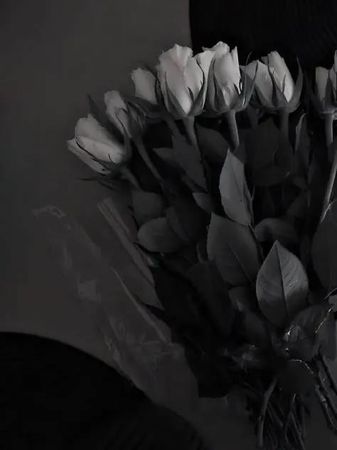 shamu의 𓆩❤︎𓆪