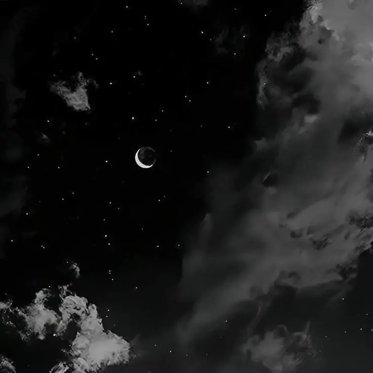 FakeLemur8630의 탑뇽