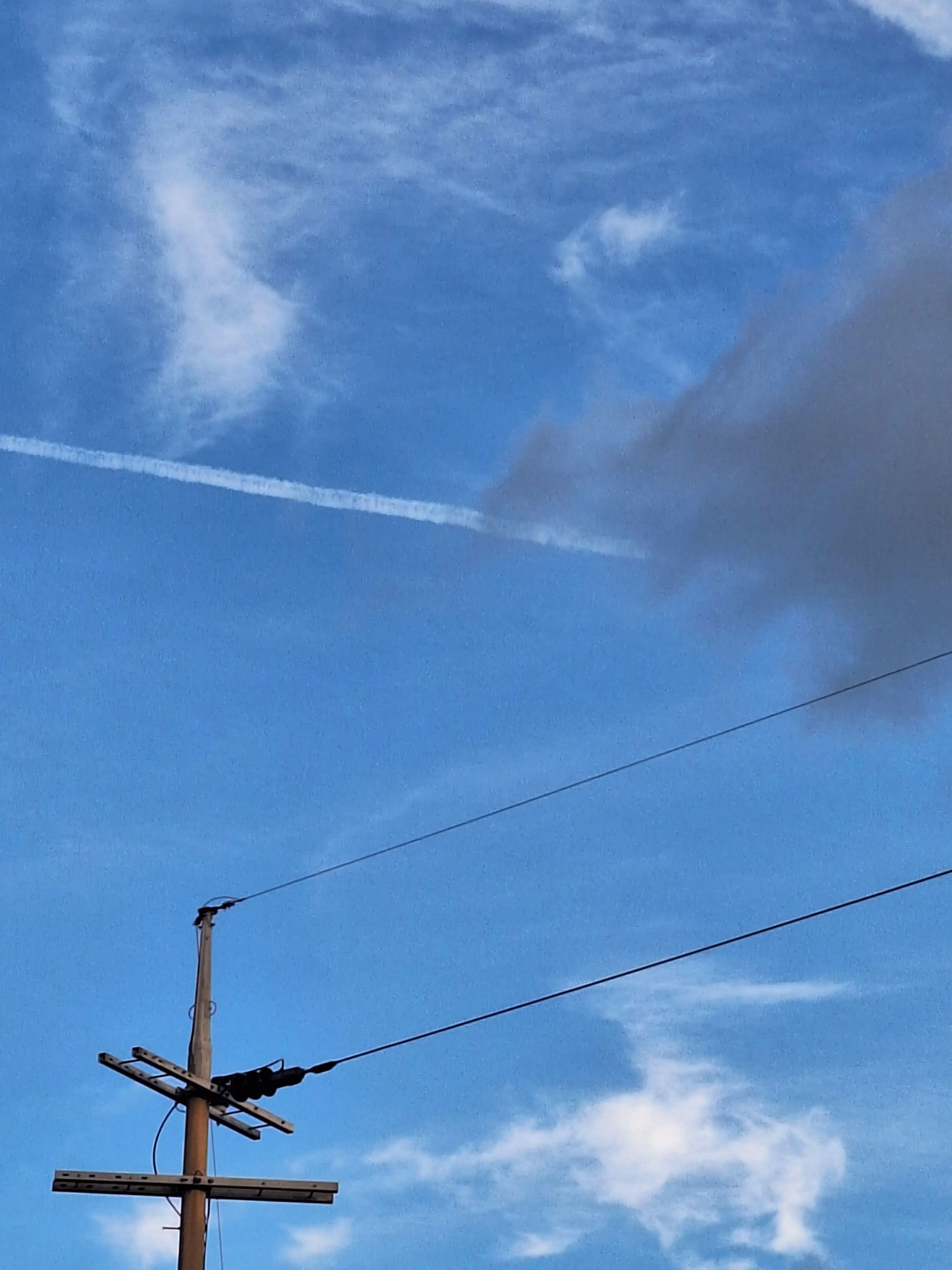 FishyTime9766의 미스터리 수사반2