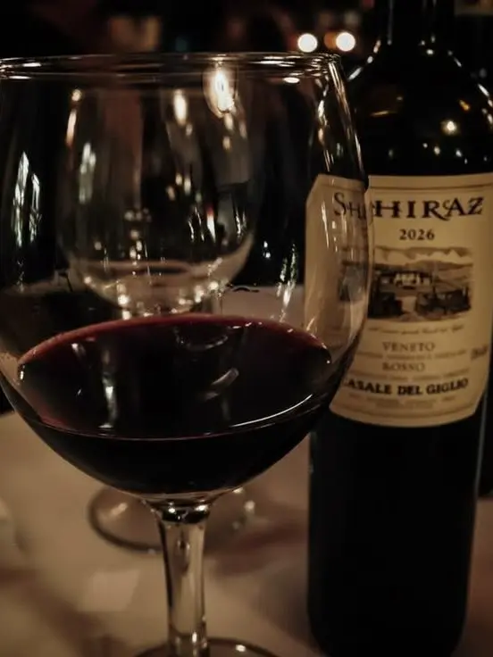 SaltySteel0495의 도은호