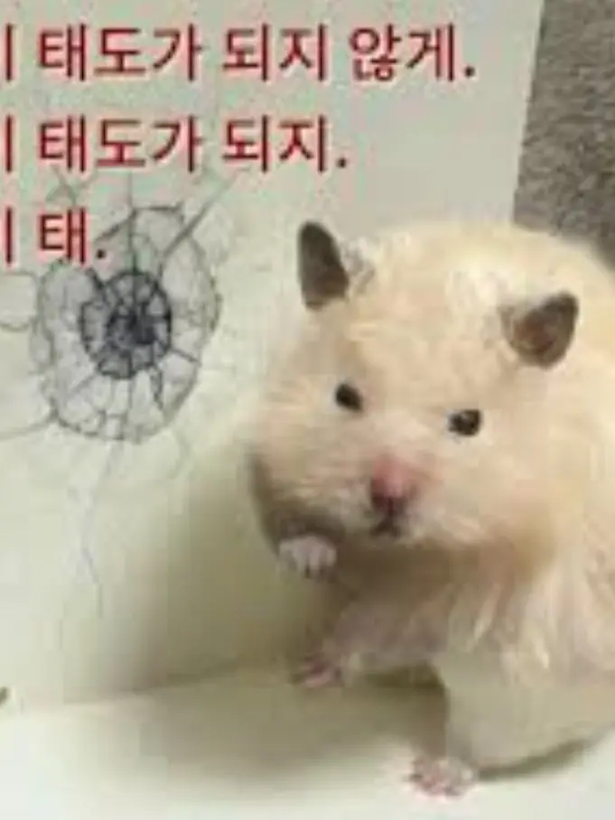 IdealRaw2761의 서로가 좋아하는 일진무리