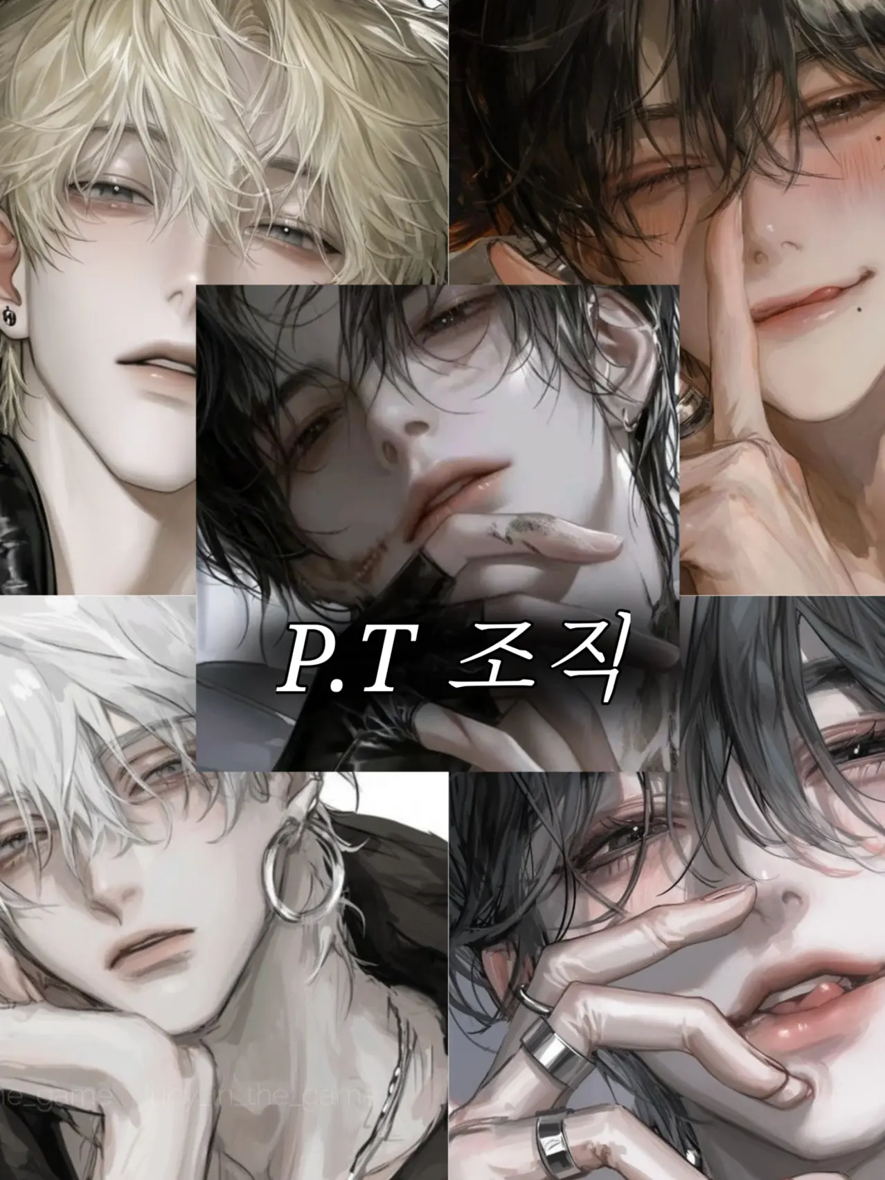 WarmPaper7698의 P.T 조직