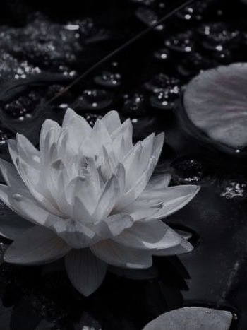 milkoy 대표 이미지