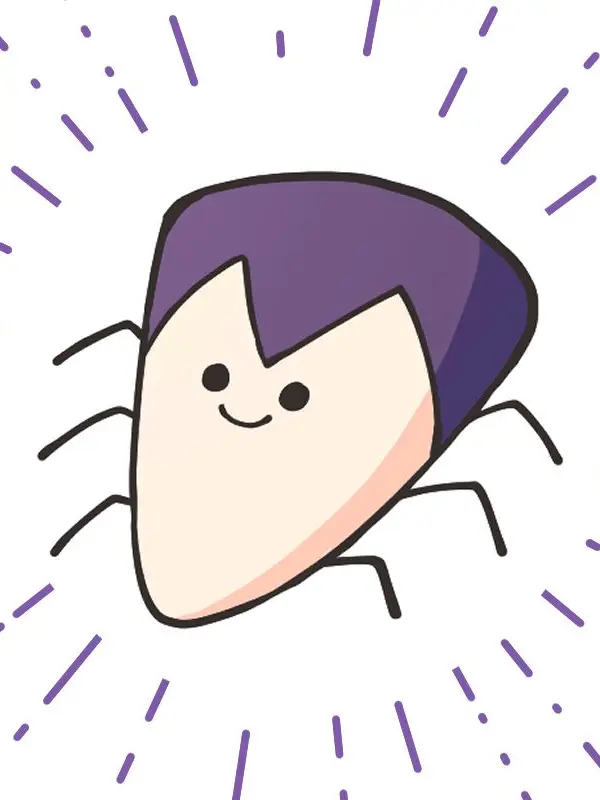 2555555의 怪異