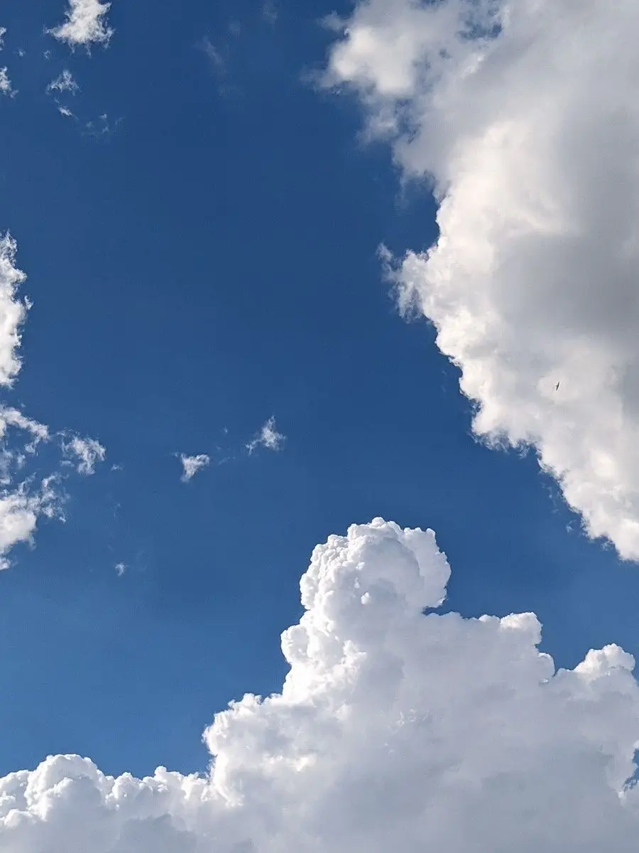 ghgh_의 青春くぱるず