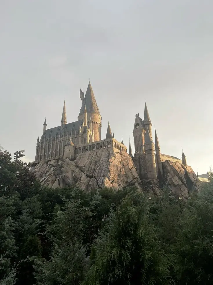 LonelyZebra4908의 Hogwarts Pick Me