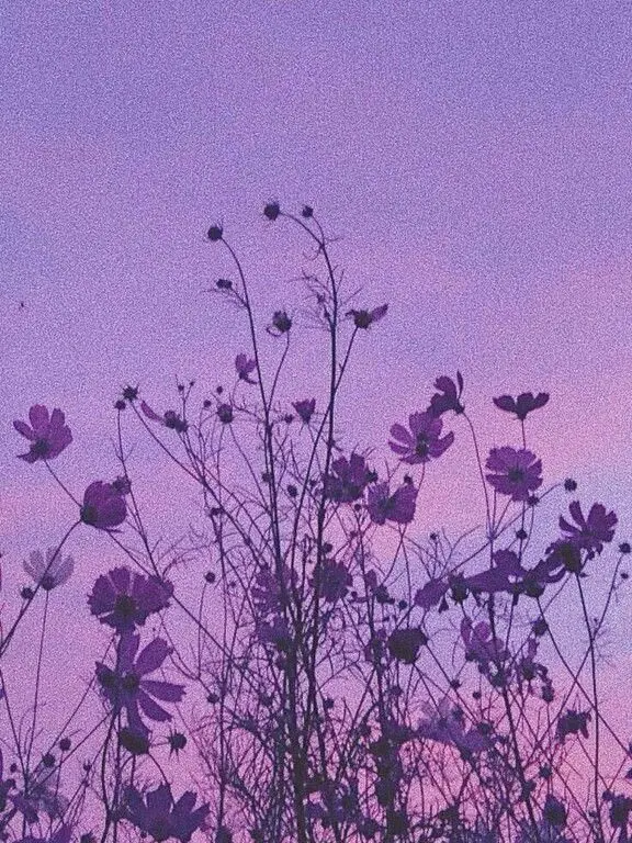 Goldlight0915의 교복에서 부케까지 (🐺💜)