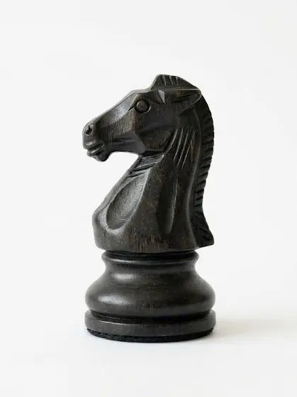 tarako.tintin의 ˚✧₊『専属護衛』⁺˳✧