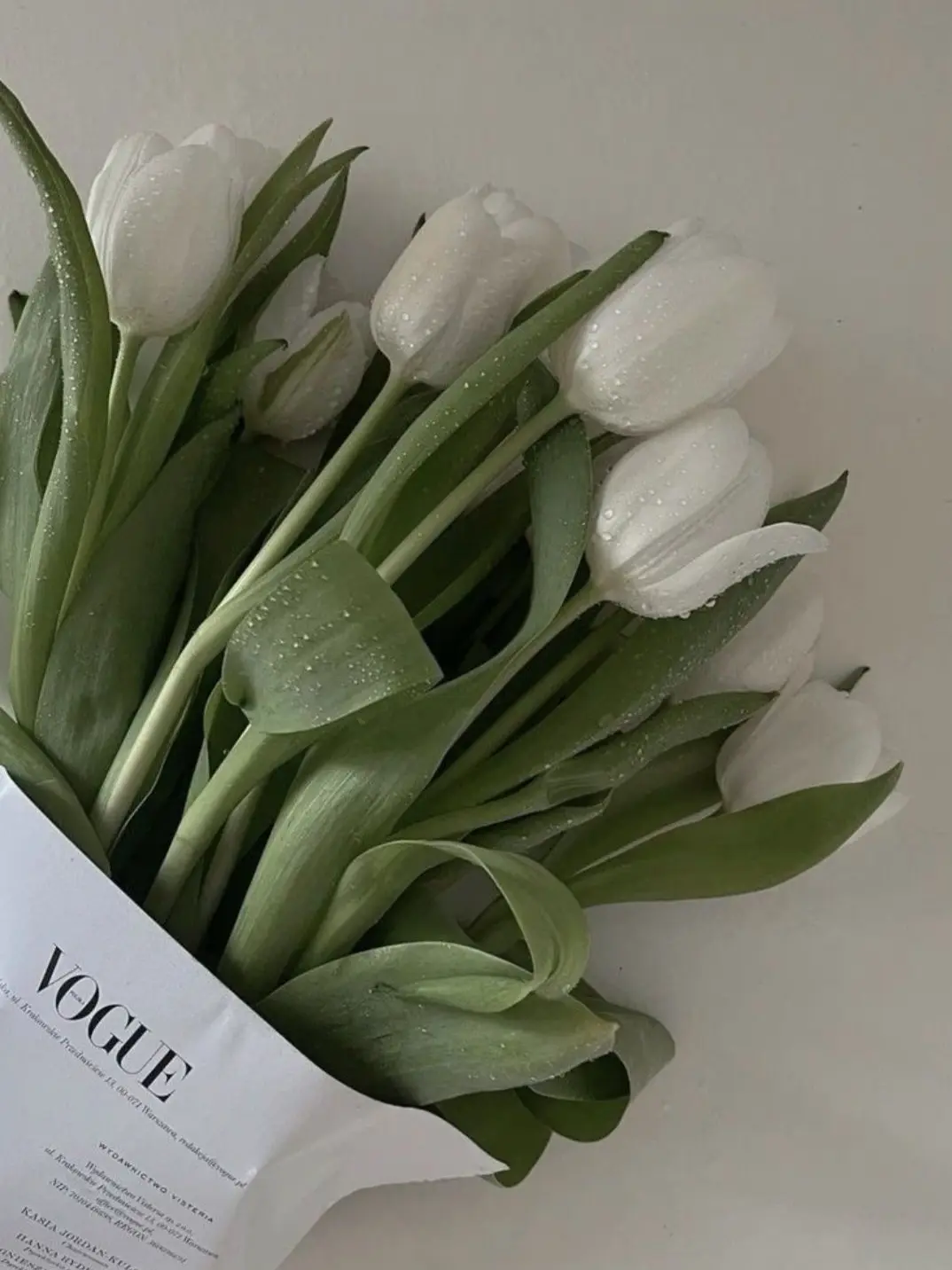 screwball_1의 𝓣𝓱𝓮 𝓡𝓮𝓼𝓮𝓽