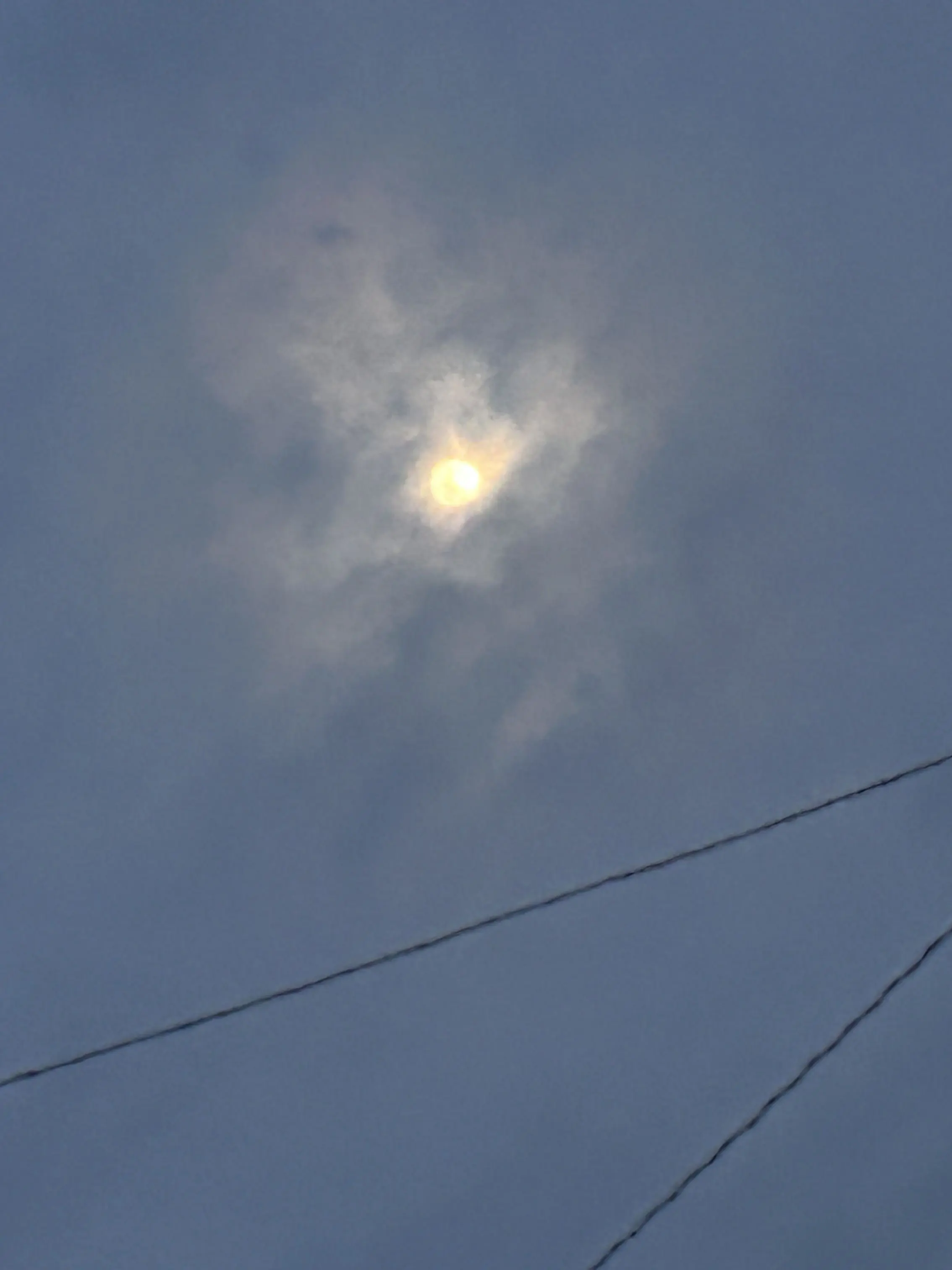 SimpleXerus4133의 甘味な誘惑と真実