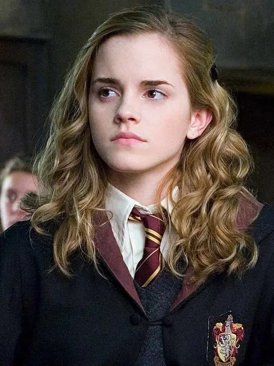 BeigeBurp1086의 Hermione Granger