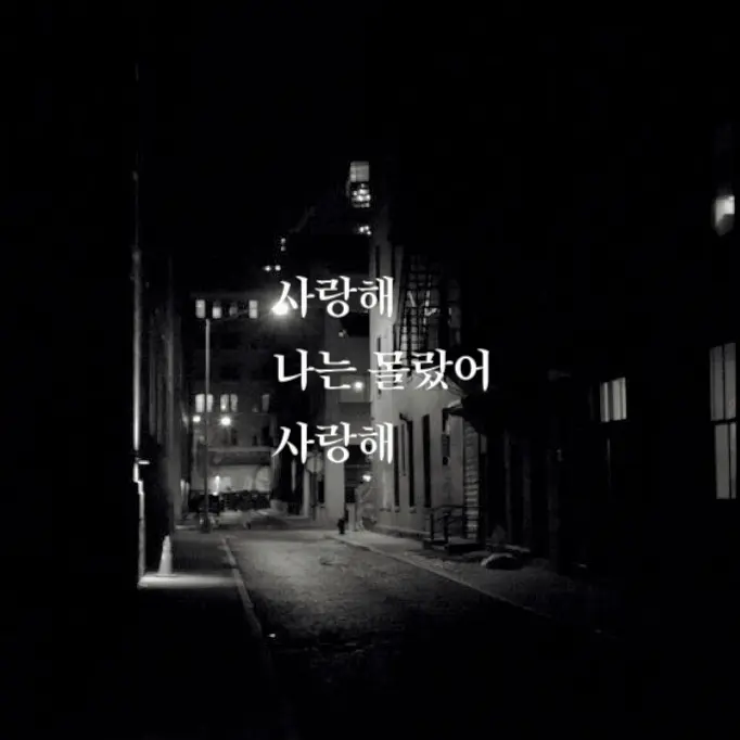 IllBoiga2492의 정태석