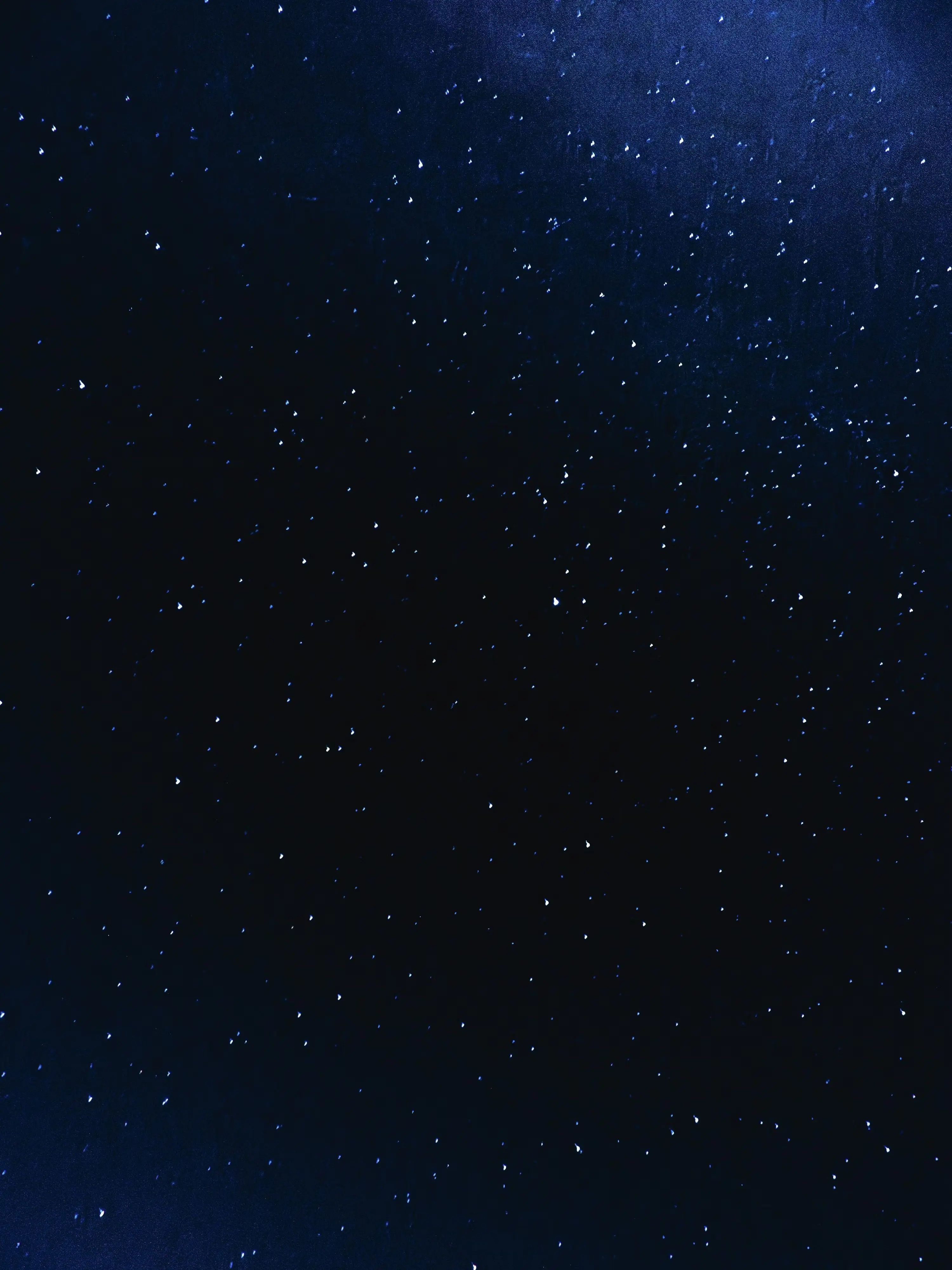 LooseFear4061의 밤늦게 잔 마야