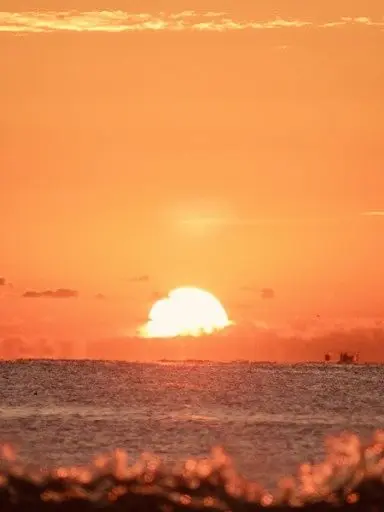 TenderMist9665의 엔믹스 가족