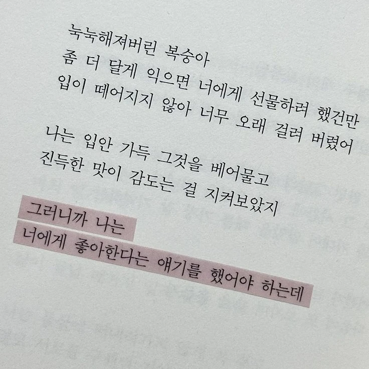 복숭아.