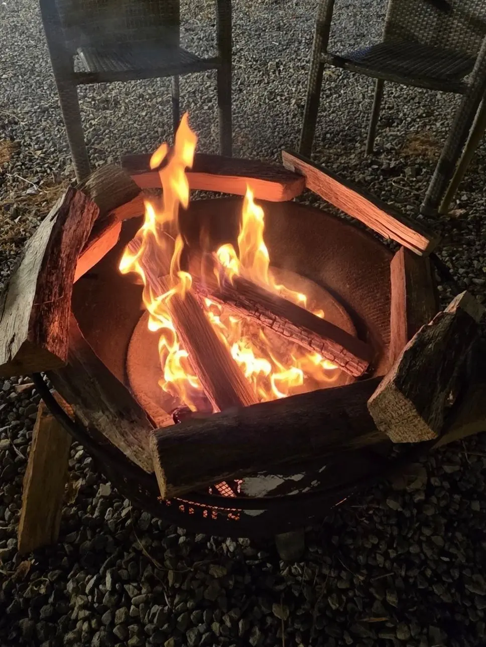 BentCamel6696의 내가 키운 s급