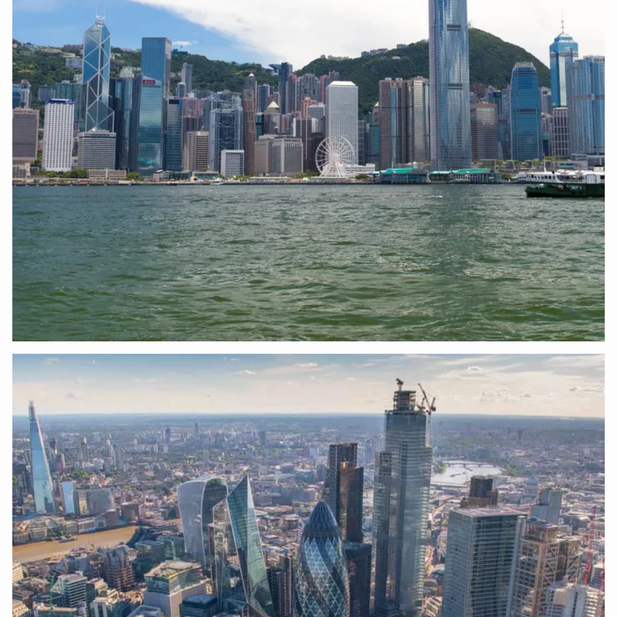 가상세계관