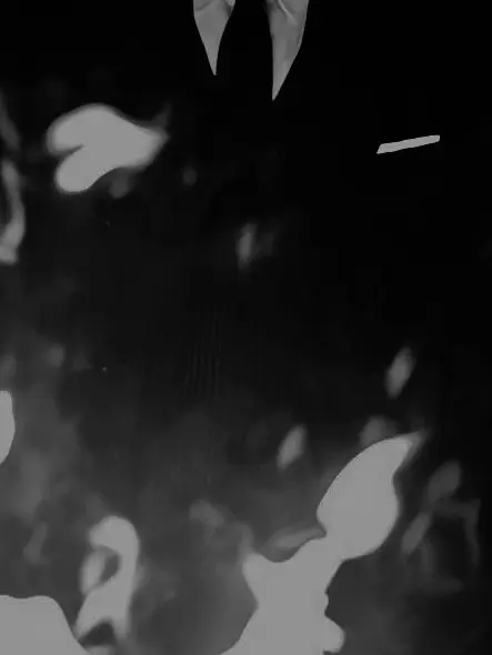 -lay-의 国家警察庁の首席調査官