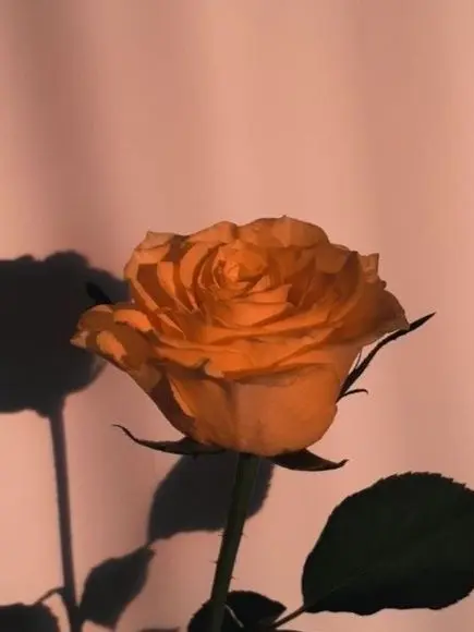 dpxnp의 전 짝남의 속마음이 보인다