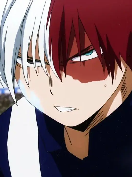 Novachanz의 Shoto Todoroki